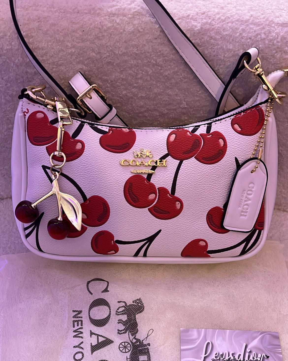 ( QUICK SHIP🚚) Coach Teri Bag