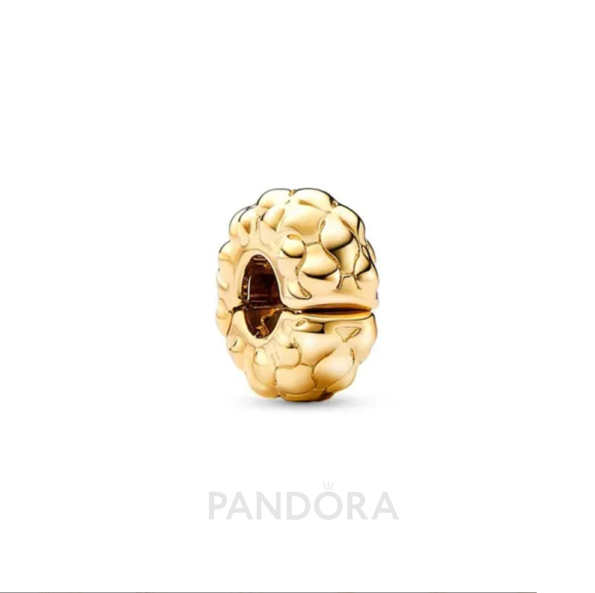 Gold Charm Divider